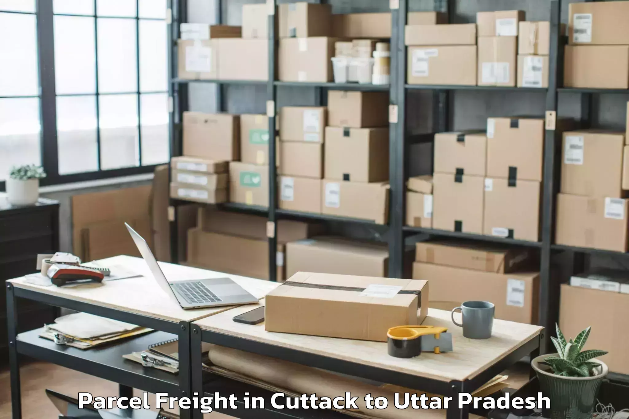 Book Cuttack to Bisauli Parcel Freight Online